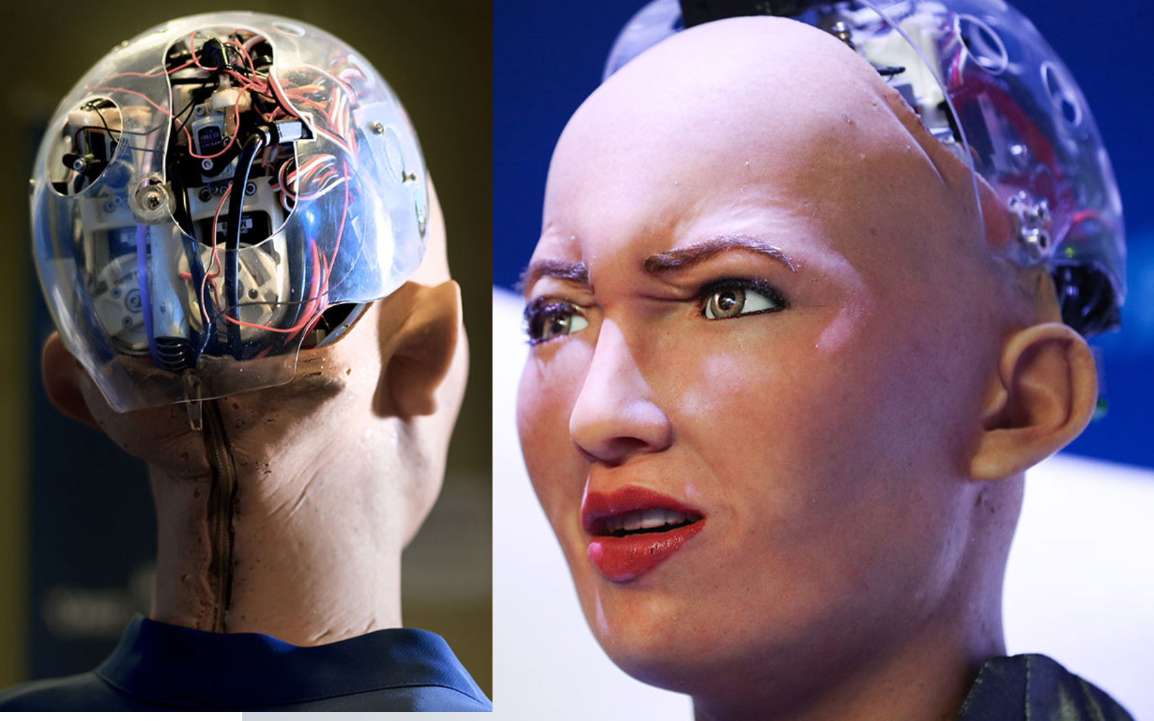 ربات‌ های انسان نما که هوش مصنوعی را متحول کردند (به همراه عکس ربات)