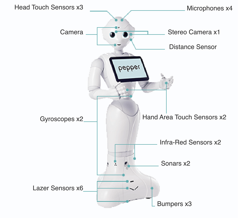 ساختار ربات Pepper